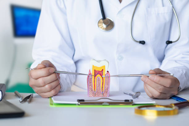 Best Emergency Treatment for Oral Infections in Huntington Station, NY